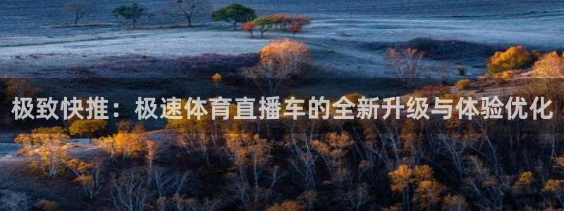 nba在线观看乐球直播：极致快推：极速体育直播车的全新升级与体验优化