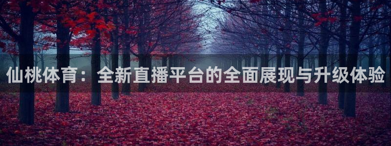 乐球直播nba在线直播：仙桃体育：全新直播平台的全面展现与升级体验