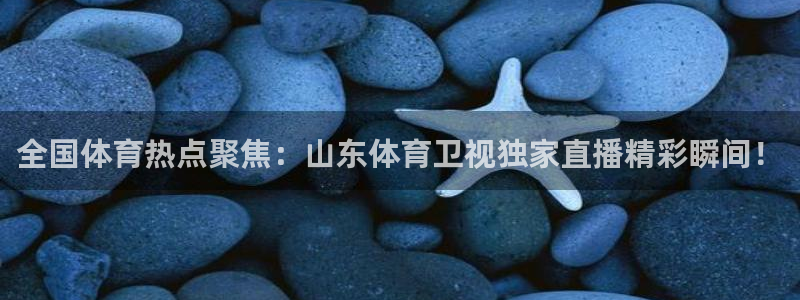 乐球直播篮球直播：全国体育热点聚焦：山东体育卫视独家直播精彩瞬间！