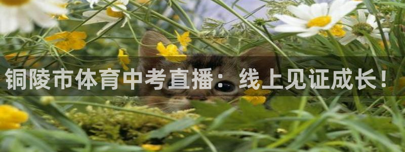 乐球直播在线直播：铜陵市体育中考直播：线上见证成长！