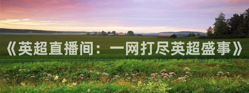 乐球主播：《英超直播间：一网打尽英超盛事》