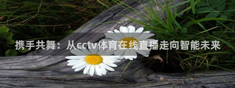 乐球直播安卓版下载：携手共舞：从cctv体育在线直播走向智能未来